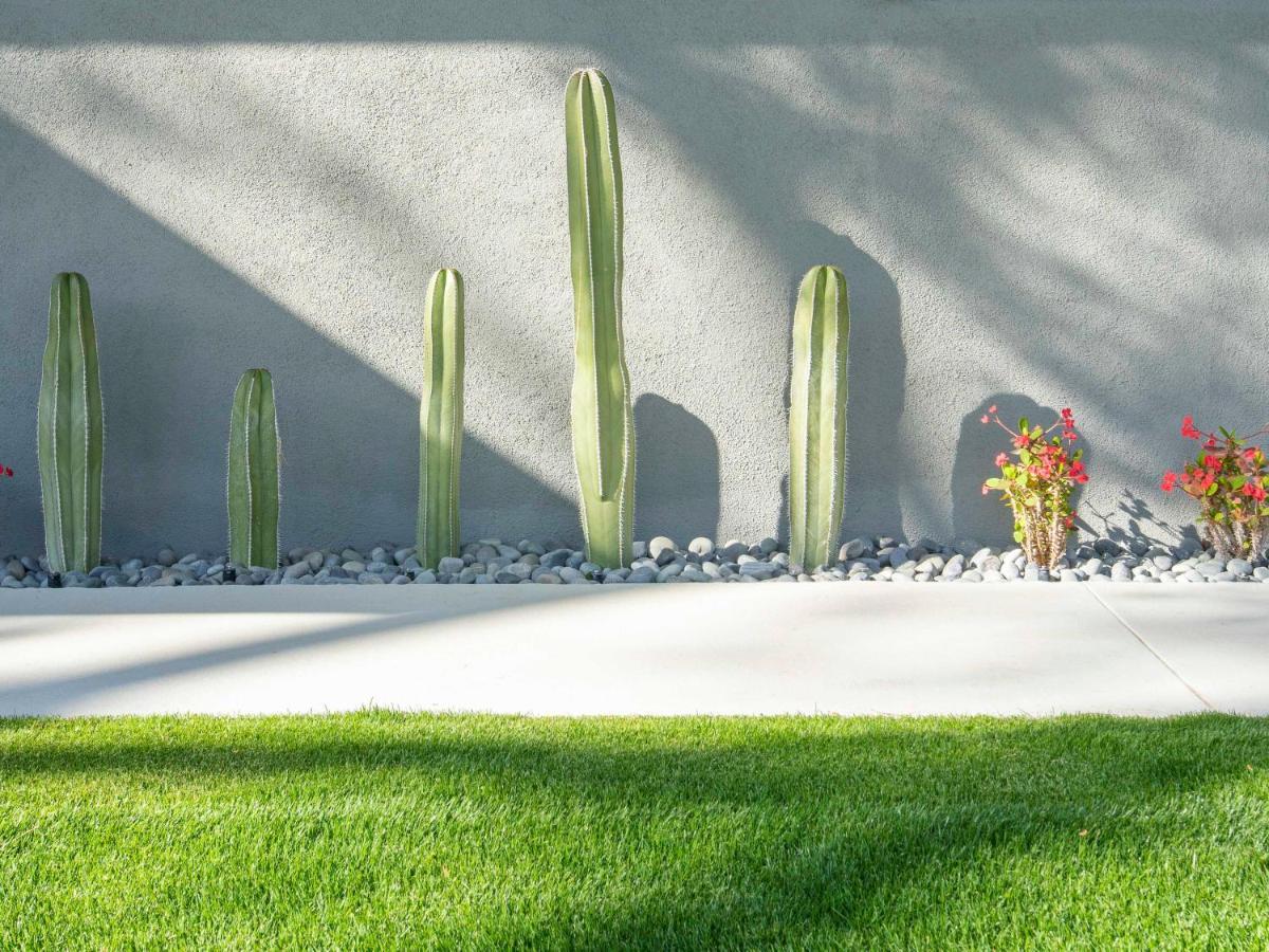 West Elm House: The Seven-Eighty Villa Palm Springs Dış mekan fotoğraf